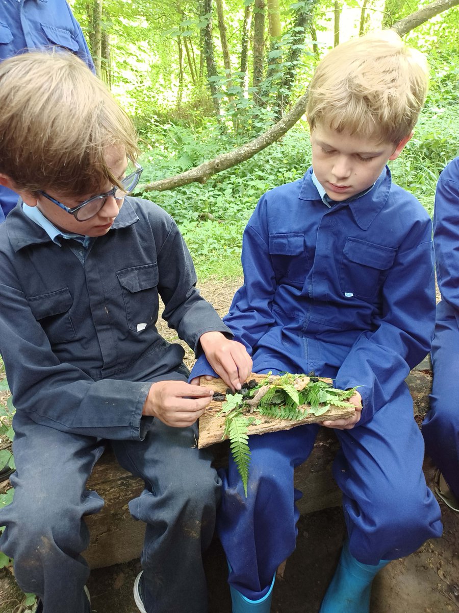 Sherborneprep's tweet photo. 5H took part in a MasterChef Competition in Forest School today. The children were treated to various courses, seasonings, and some beautifully designed kitchens!
#sherborneprep #countryprep #dorsetprepschool https://t.co/0vc3SbZuho
