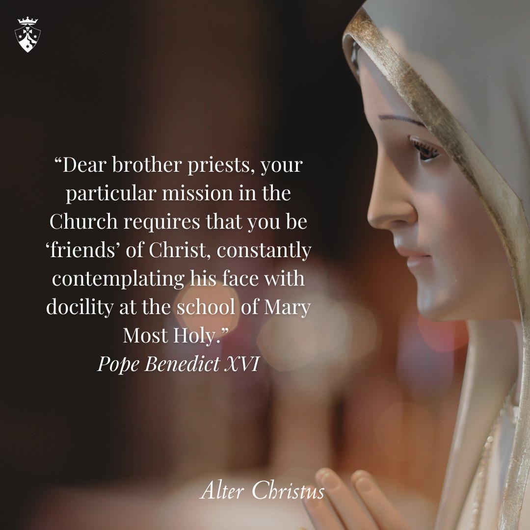“Dear brother priests, your particular mission in the Church requires that you be ‘friends’ of Christ, constantly contemplating his face with docility at the school of Mary Most Holy.” 
Pope St. John Paul II
#prayforpriests #sacredheart #alterchristus
