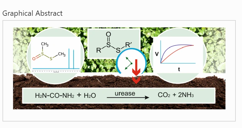 Journal_JSSPN's tweet photo. Published [Open Acess]📢#Watercress (Nasturtium officinale) as a Novel Plant-based Alternative to Synthetic Soil #Urease Inhibitor Sources

Read at https://t.co/30E57DOpRH https://t.co/eSUDUaeSue