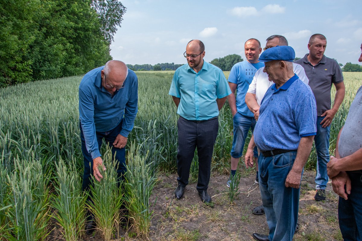 USAID AGRO Ukraine 🌾🇺🇦 on Twitter "1/2 As a followup on the seed and