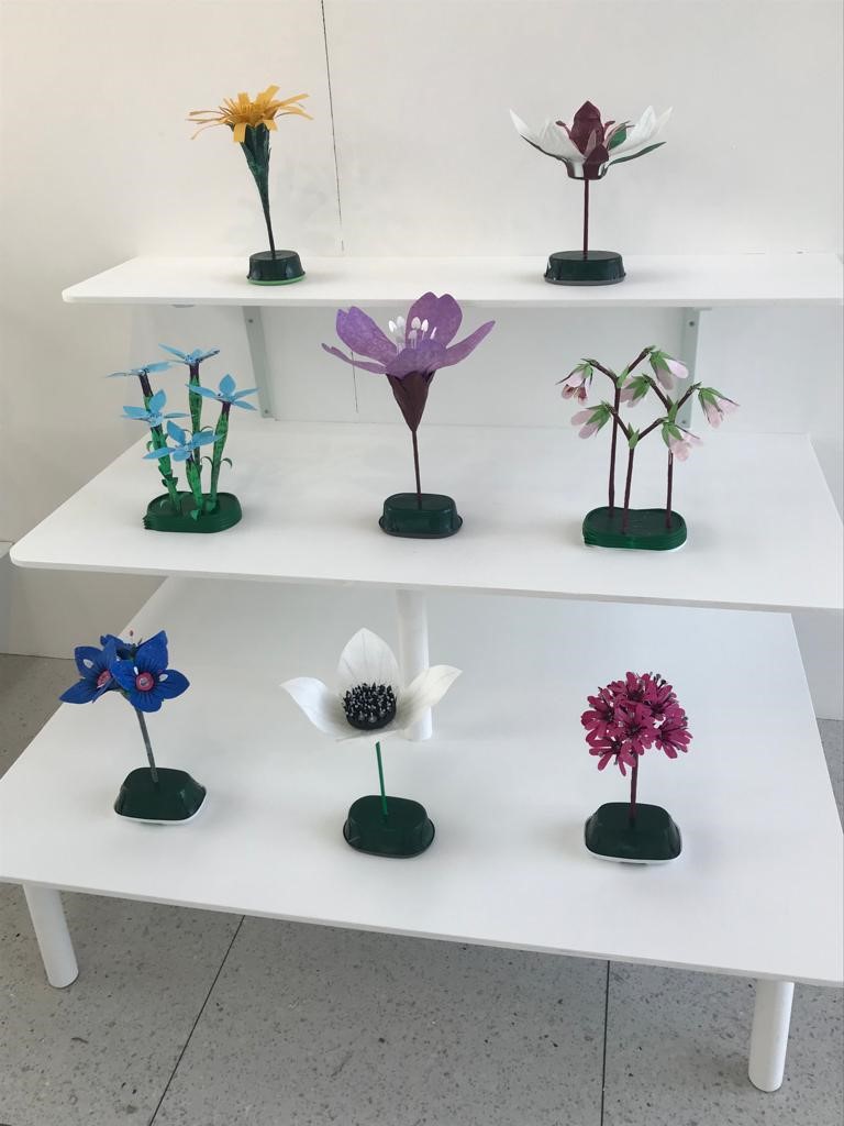 We're on with the installation of <a href="/RuthMoilliet/">Ruth Moilliet</a>'s brand new show 'Devotions to the Goddess Flora'. Today we've added these delicate plant models, made from single use plastic. We'll be completing the exhibition tomorrow, ready for its launch on Sat at 2pm. Everyone is welcome.