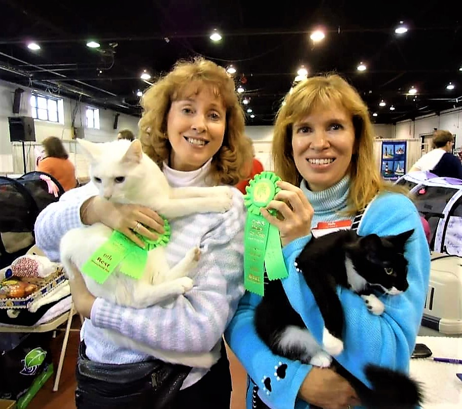 My sister and me with Caspurr and Toby Too at a cat show a handful of years ago. My nearly finished new mystery novel, The Paw Print Murder, @WRDStories is set at a cat show where a puzzling murder occurs.