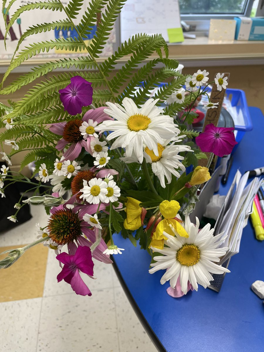 I’m tired, it’s cloudy, I forgot my tea at home this morning…so these really cheered me up 🥹💐🌼
