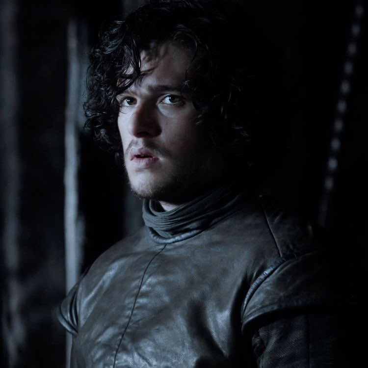 Jon Snow is the bastard son of Ned Stark