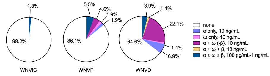 Casanova Lab (@casanova_lab) on Twitter photo 1/ We are excited to share our report in <a href="/JExpMed/">Journal of Experimental Medicine</a> showing that about 40% of cases of #WestNilevirus (#WNV) encephalitis are due to pre-existing auto-Abs neutralizing type I IFNs, making WNV encephalitis the best understood human infectious disease (rupress.org/jem/article/22…). 1/ We are excited to share our report in <a href="/JExpMed/">Journal of Experimental Medicine</a> showing that about 40% of cases of #WestNilevirus (#WNV) encephalitis are due to pre-existing auto-Abs neutralizing type I IFNs, making WNV encephalitis the best understood human infectious disease (rupress.org/jem/article/22…).