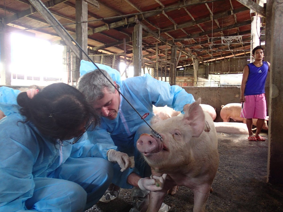 EganBrockhoff's tweet photo. Very happy to report that the @cdnpork ASF Free Compartmentalization program is coming along nicely. This morning our Oversight Committee met for an update and to discuss next steps as we move closer to our first Compartment being launched. https://t.co/X2NL8OhkH1