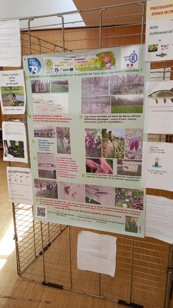 🗓Rencontres académiques #ECORCE à #Zoodyssée 
Un partenariat <a href="/DeuxSevres/">79 le Département</a> <a href="/acpoitiers/">Académie de Poitiers</a> 
Une cinquantaine de classes de #cycle3 et deux classes de #maternelle présentes sur 2 jours sur site
🙏à tous les encadrants qui font de ces deux jours une réussite
<a href="/v_guggiari/">Guggiari Véronique</a> 
#EDD #Sciences