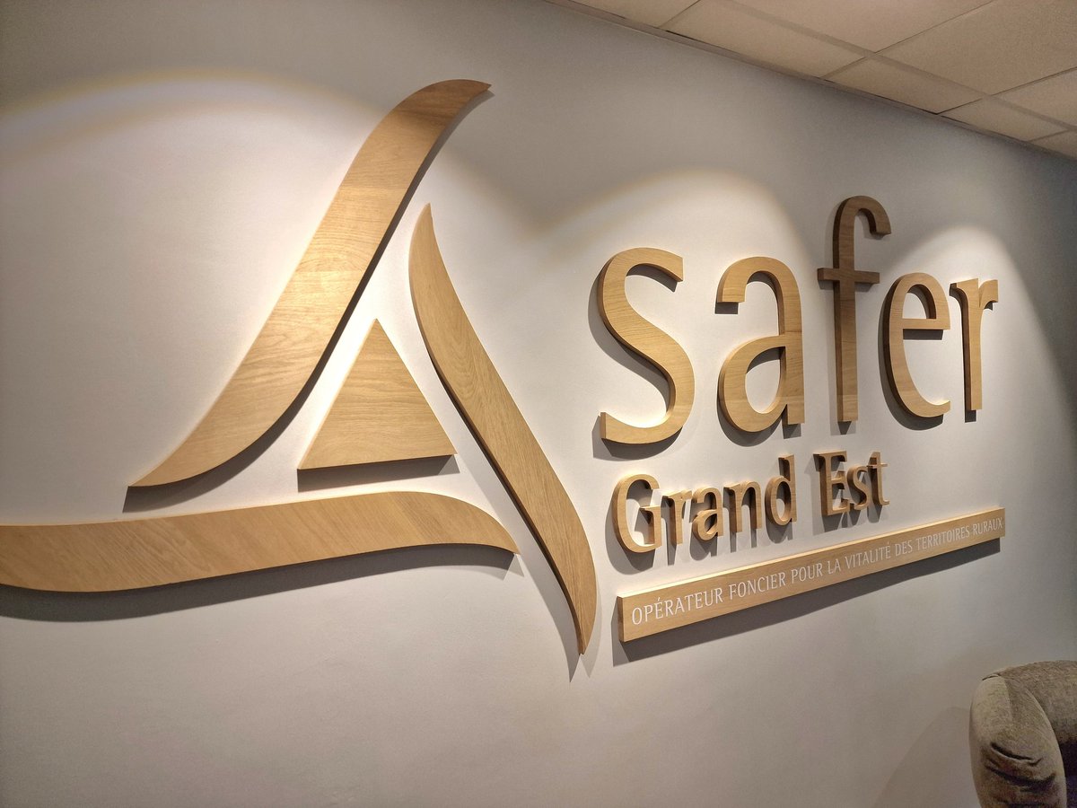 Bertrand TREPO tweet media