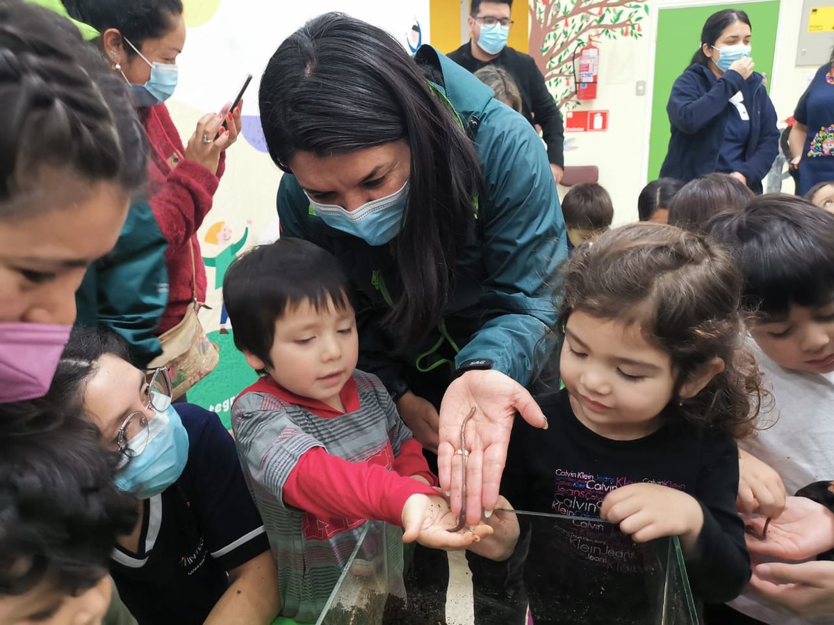 Niños y niñas de #Futrono, en #LosRíos, aprenden de la importancia del recurso suelo junto a <a href="/sagchile/">SAG</a> y <a href="/F_integra/">Fundación Integra Chile</a> 🌱🐛. Con cuenta cuentos y terrarios esta mañana se presentó el libro "El Suelo vivo y las lombrices viajeras" en la Sala Cuna y Jardín Infantil Los Grillitos 👏