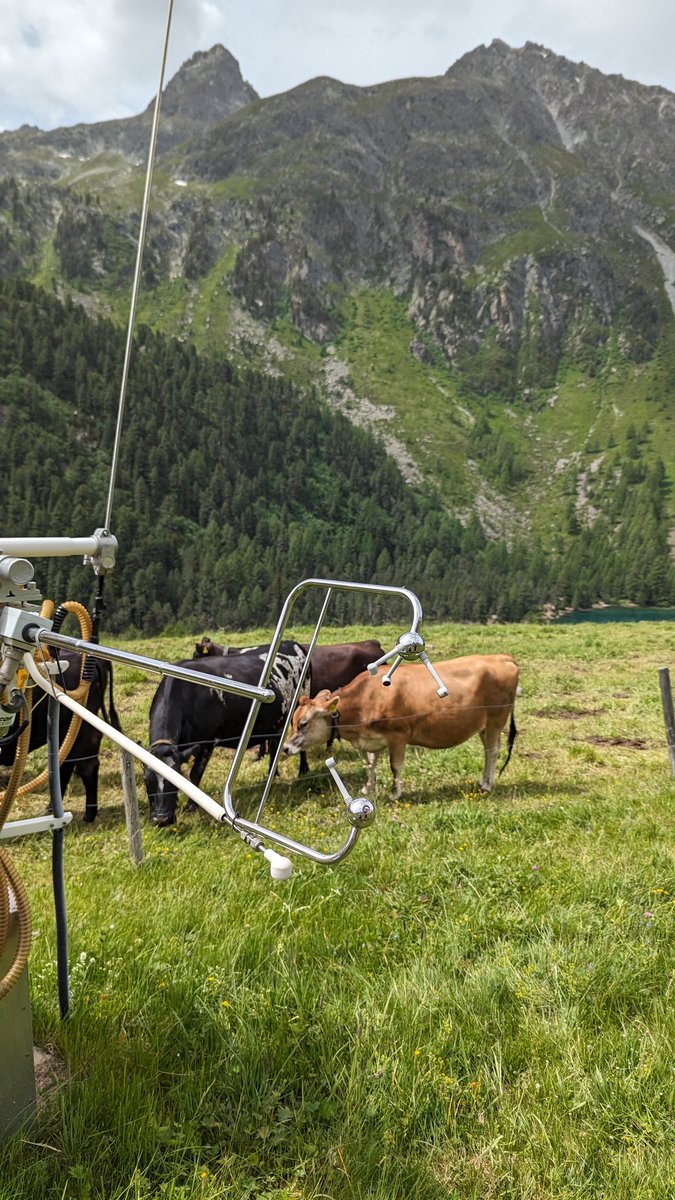 Kukka-Maaria Kohonen tweet media