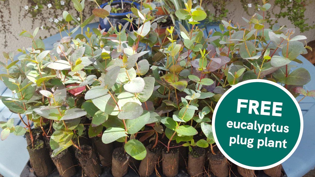 Envirocrops tweet media