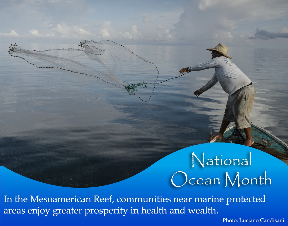 SmithsonianEnv tweet media