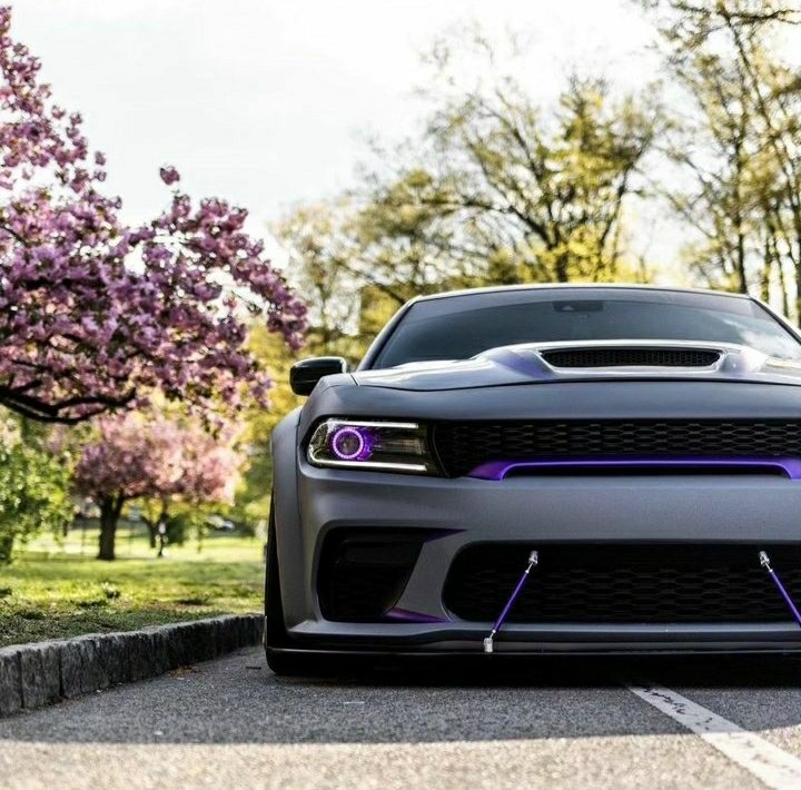 Mean beast #Mopar #DodgeCharger #MoparOrNoCar #v8 #Automotive #hellcat