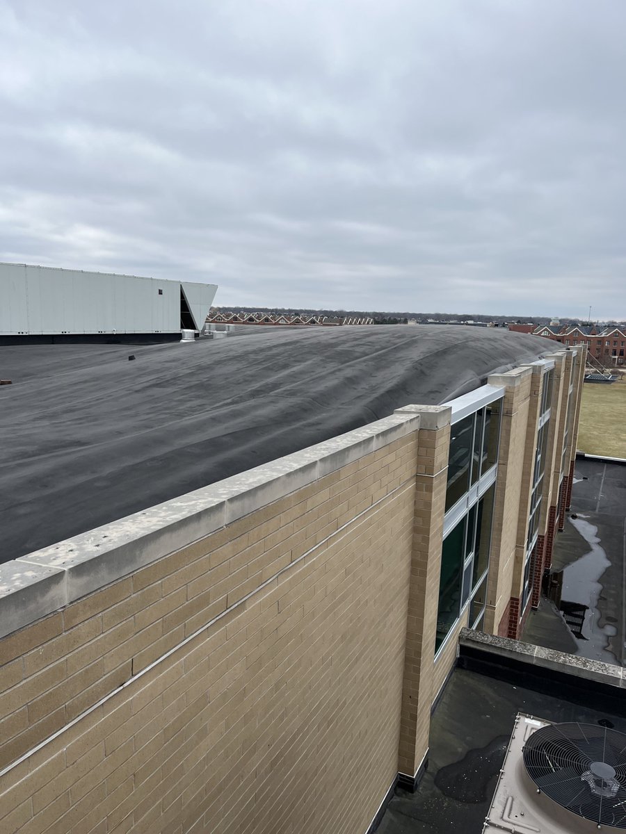 Tom Robb tweet media