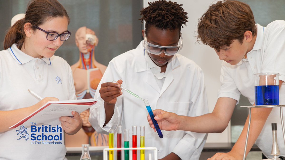 British School (BSN) tweet media