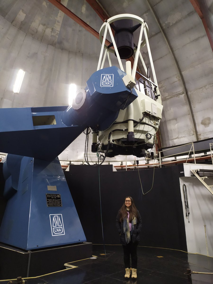 lilo e sinusitch tweet media