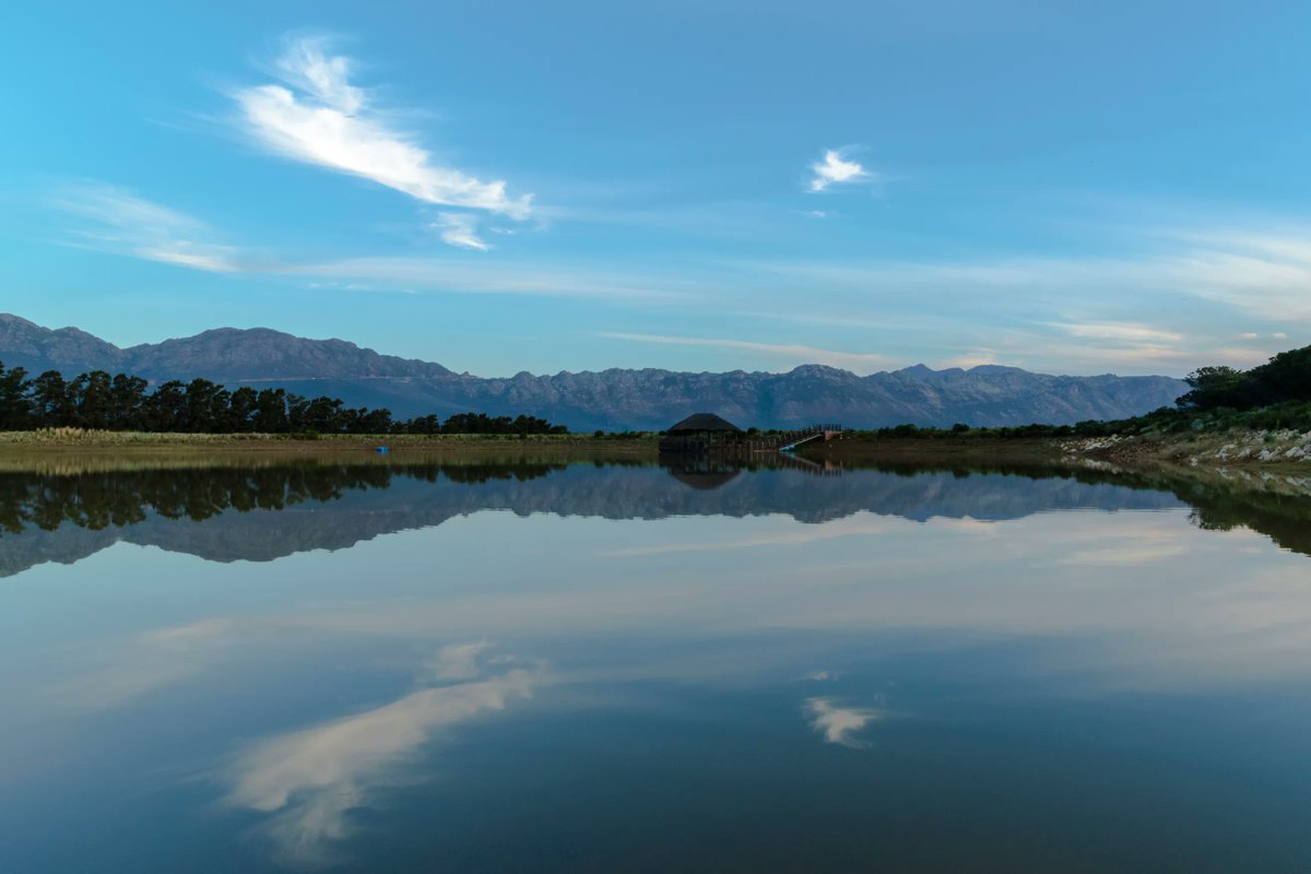 The water supply for all our properties and the winery is drawn from our own borehole and our dams are filled naturally with rainwater, collected via a network of channels across the farm. Here's one of the dams looking respledent in the winter sun.