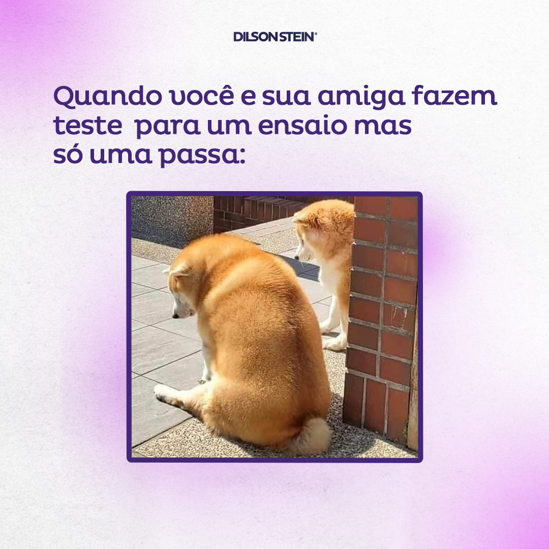 Dilson Stein (@dilsonstein) on Twitter photo 