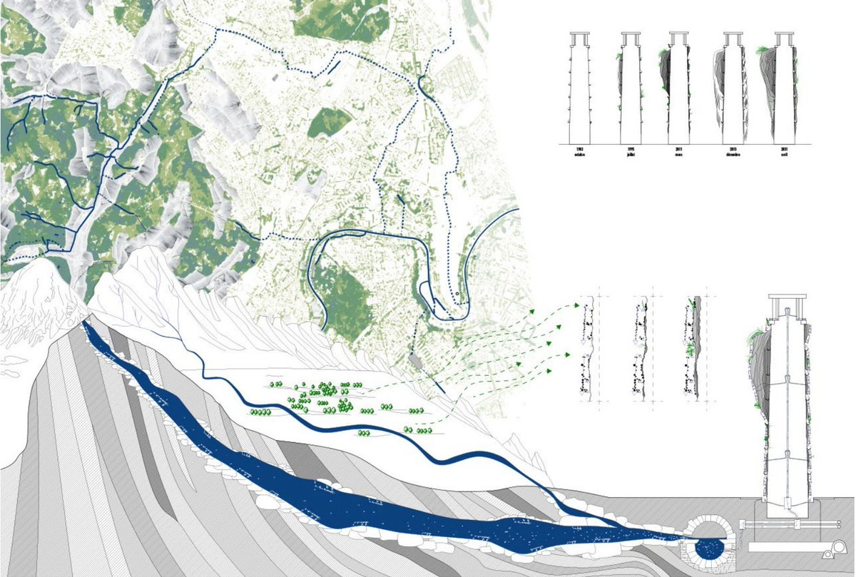 matthew blunderfield tweet media