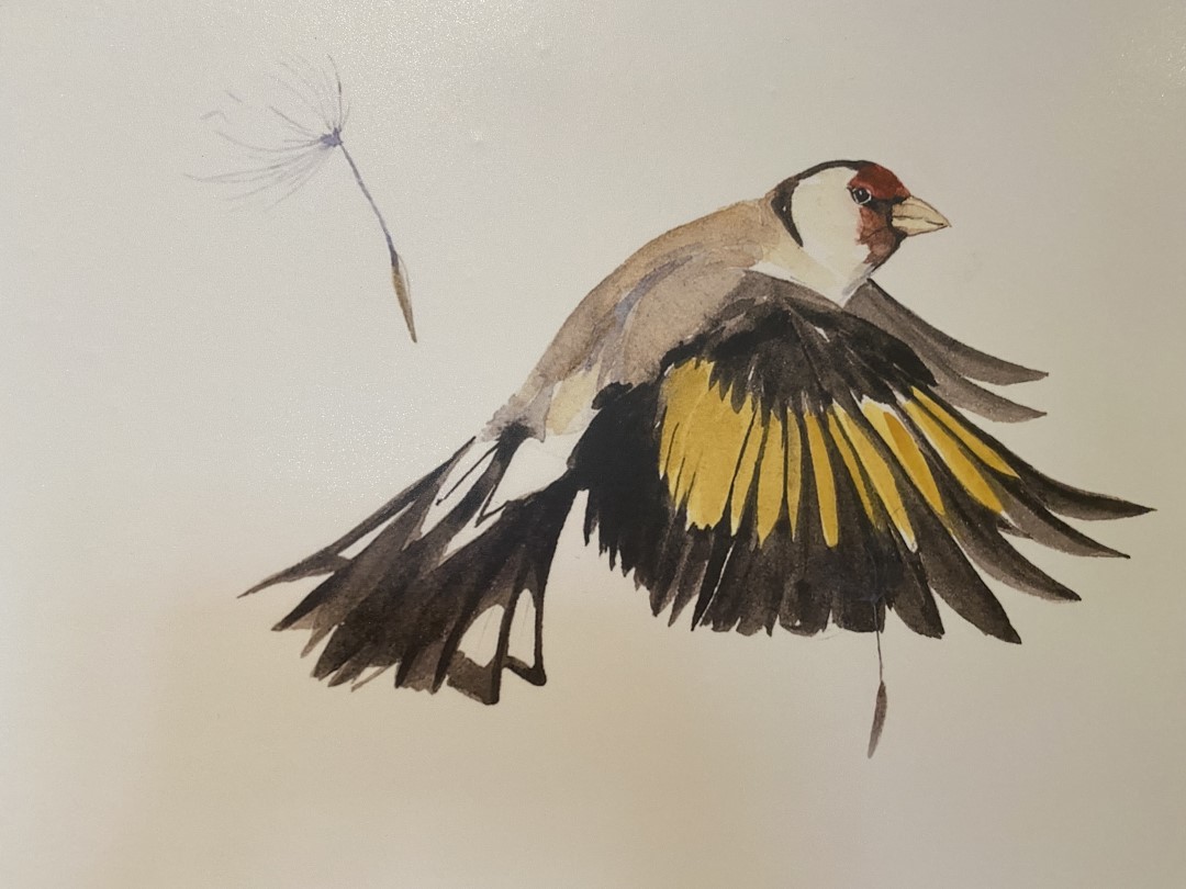 Oriel y Parc tweet media