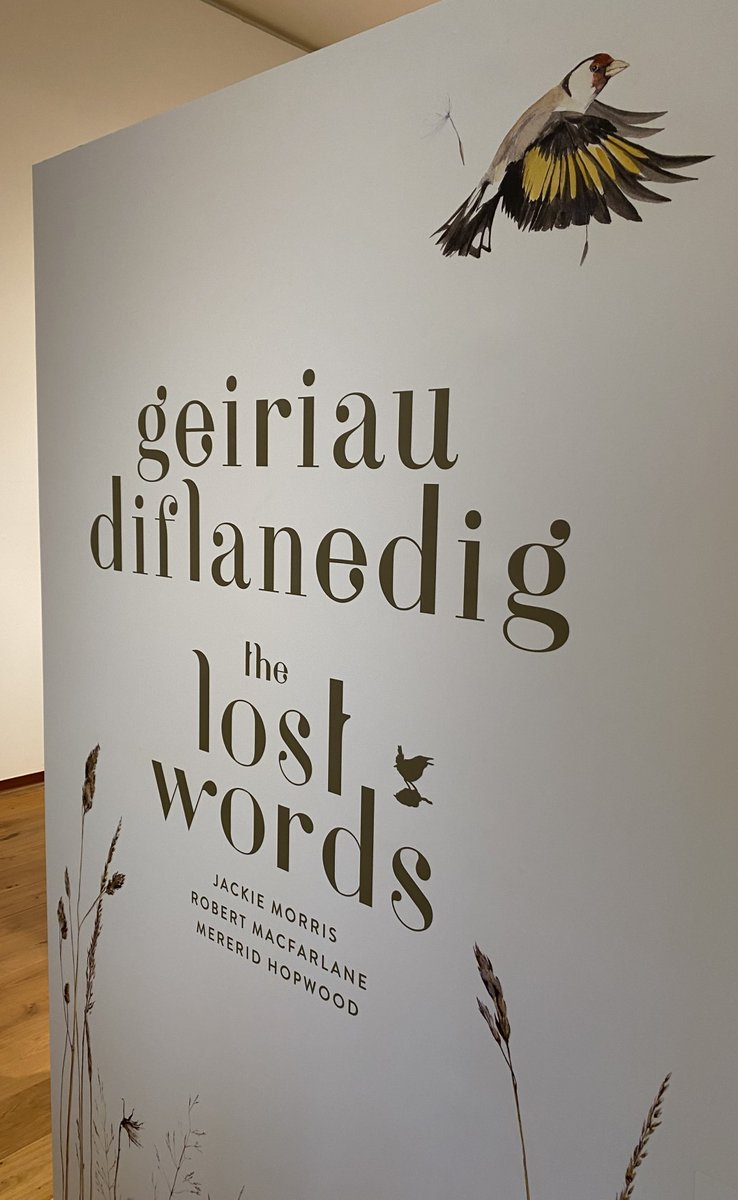 Oriel y Parc tweet media