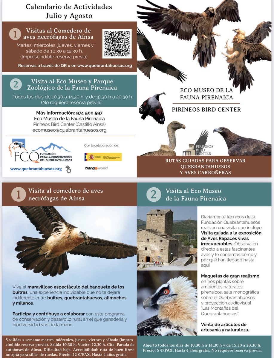FcqJuan's tweet photo. 👉Disfruta verano de las actividades del Eco Museo De la Fauna Pirenaica, Castillo de Ainsa visitando el comedero de buitres y el parque zoologico🦅, puedes hacer reservas a traves de la web: https://t.co/mSebedknO8 https://t.co/Fe6tqiAaSI