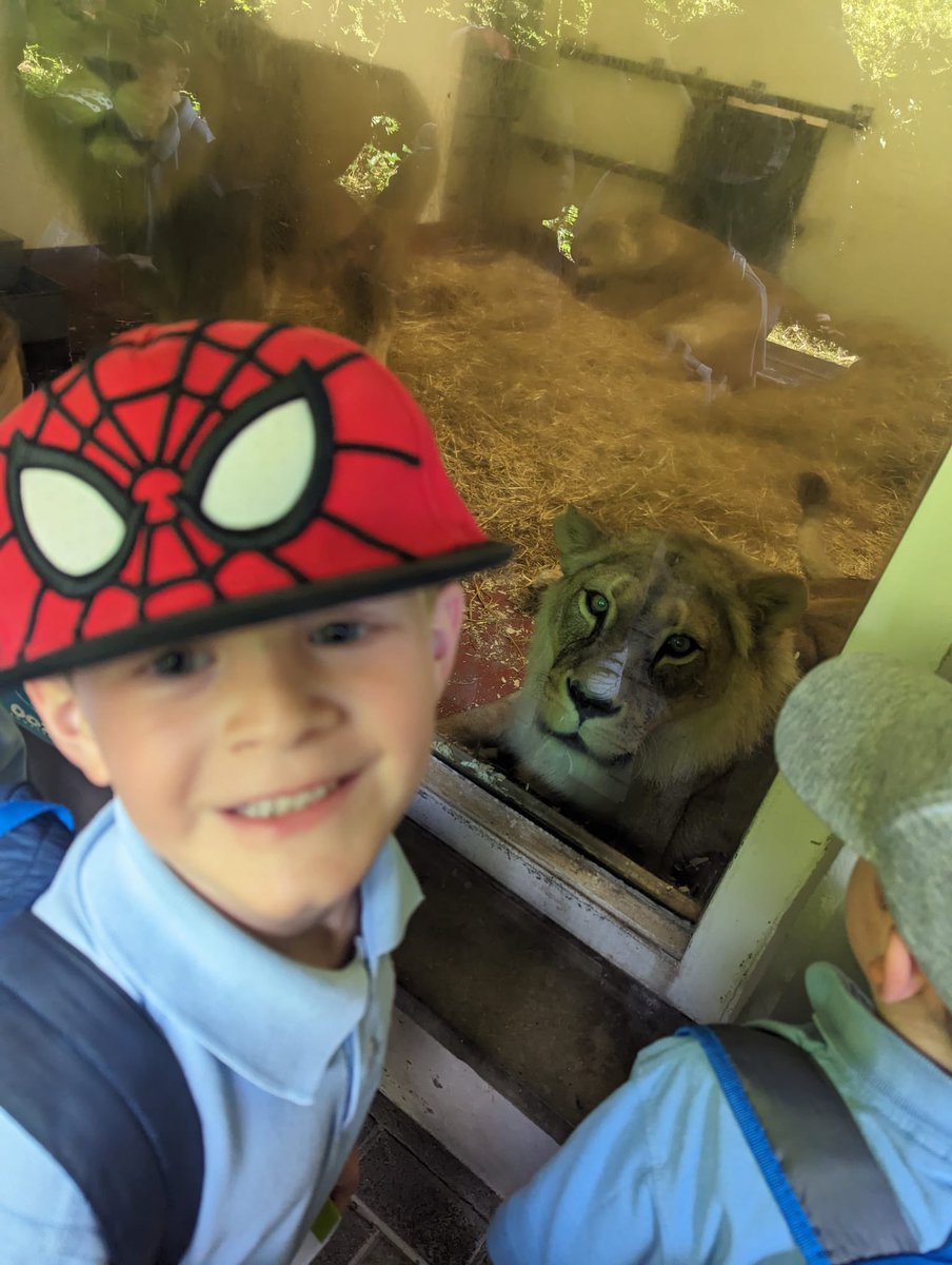 Andrews Memorial tweet media