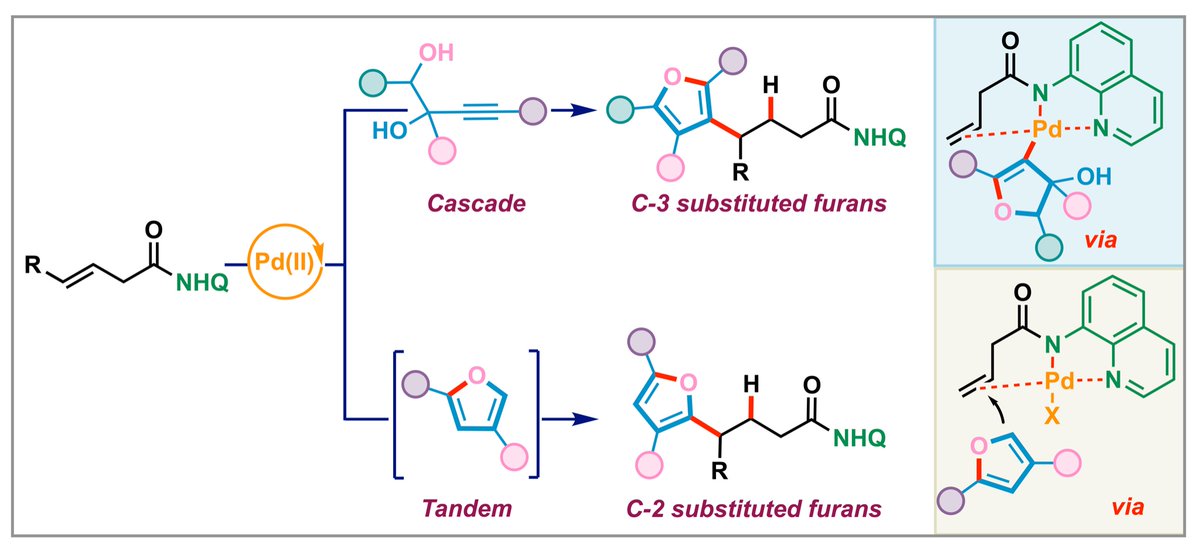 Chandra Volla (@chandravolla) on Twitter photo Please see our recent contribution in the field of hydrofunctionalization of unactivated alkenes for accessing C3-substituted gamma-furanyl carboxylic acid derivatives. Congratulations to <a href="/Shivamp27ind/">Shivam Pandey</a> and <a href="/Rahulku23800309/">राहुल (Rahul)</a> for their excellent job. <a href="/JOC_OL/">J Org Chem/Org Lett</a> pubs.acs.org/doi/10.1021/ac… Please see our recent contribution in the field of hydrofunctionalization of unactivated alkenes for accessing C3-substituted gamma-furanyl carboxylic acid derivatives. Congratulations to <a href="/Shivamp27ind/">Shivam Pandey</a> and <a href="/Rahulku23800309/">राहुल (Rahul)</a> for their excellent job. <a href="/JOC_OL/">J Org Chem/Org Lett</a> pubs.acs.org/doi/10.1021/ac…