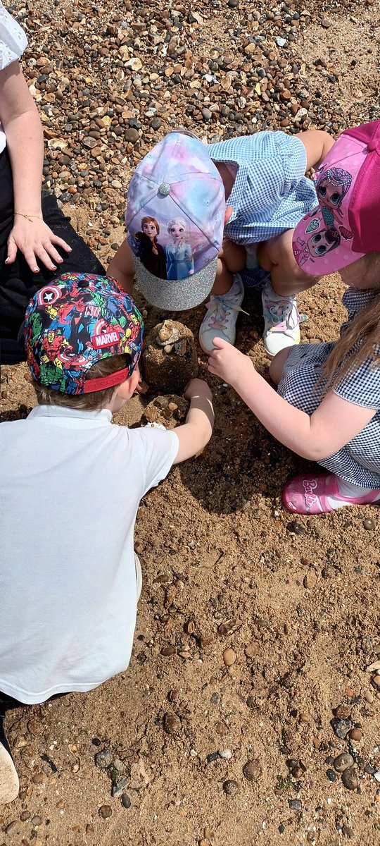 EYFSAveleyPrim1's tweet photo. @EYFSAveleyPrim1 the children had a fantastic time playing and exploring at Chalkwell beach today! https://t.co/UFG2mdCT1Q