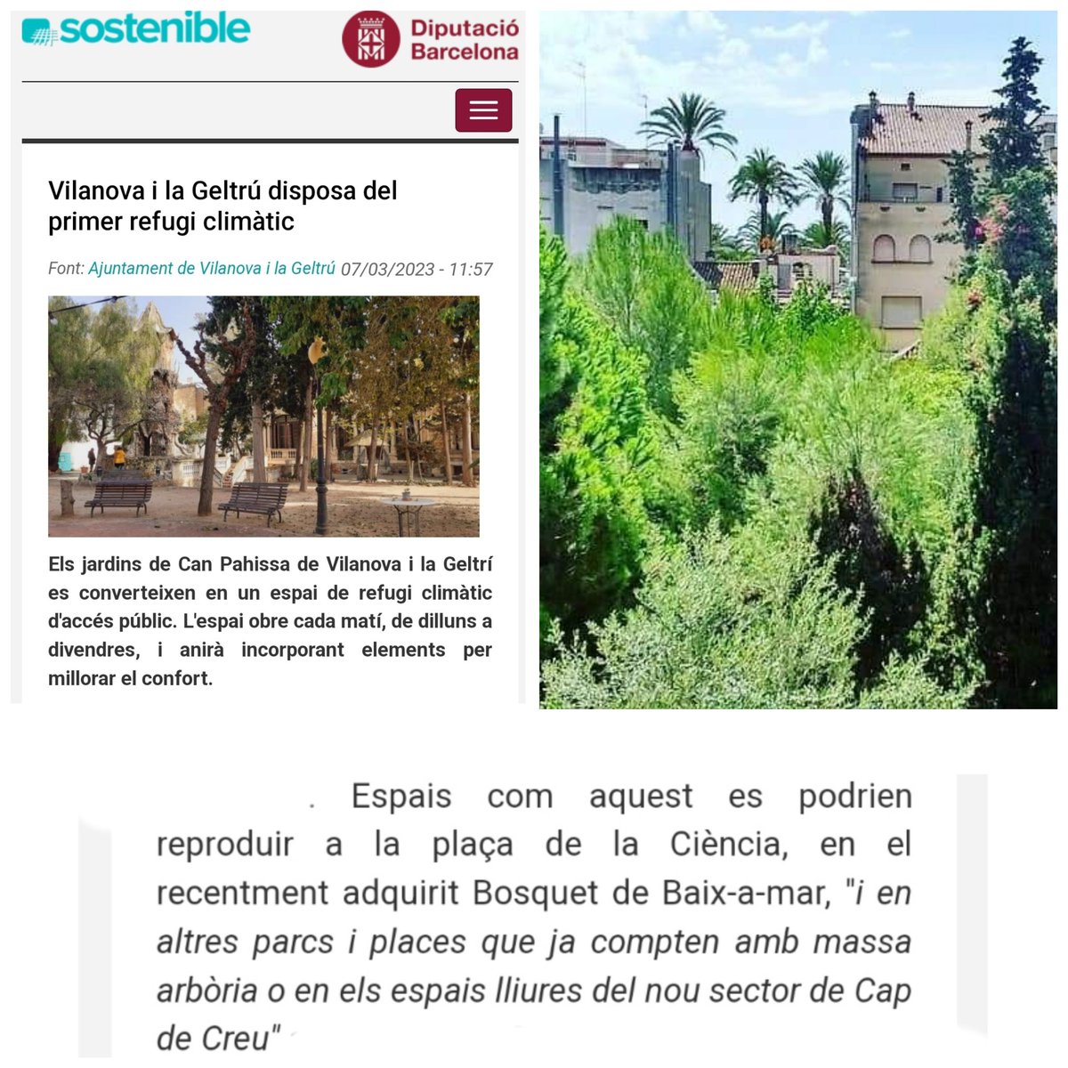 batecdevilanova's tweet photo. Esperem que molt aviat i com estava previst, el Bosquet de Baix-a-mar també s'inclogui a la xarxa de refugis climàtics de Vilanova i la Geltrú. 
🌳🌳🌳🌳🌳🌳🌳🌳🌳🌳
#plevng https://t.co/eM21L5rJsA