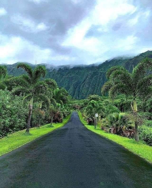 Beautiful Cameroon. The road to Oshie village Beautiful touristic site￼