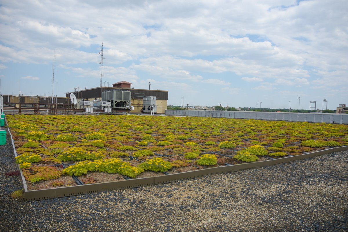 Will County Executive tweet media