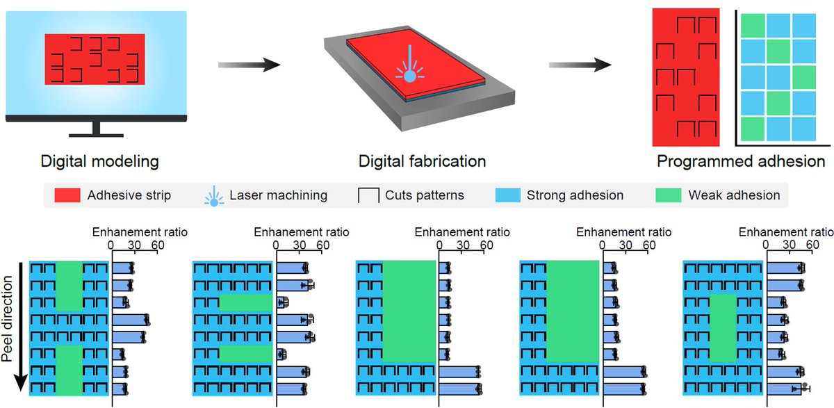 SMSLaboratory's tweet photo. We can specifically place the non-linear cuts to tune adhesion strength at any film location. A digital fabrication framework enables this and rapidly customizes adhesive characteristics with deterministic control. https://t.co/LjtB9jQBpq
