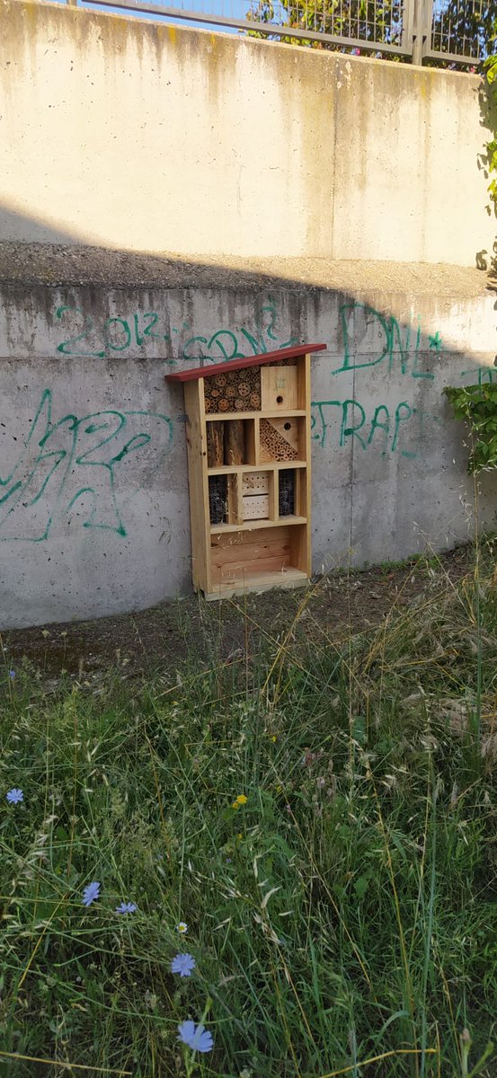 iesamoreno's tweet photo. ¡Hemos quedado en un merecidísimo segundo puesto en el concurso #generacioneco de @ecovidrio de entre 243 centros educativos!
Ya tenemos el premio, un kit de biodiversidad XXL: hotel de insectos, nido de salamanquesas, de murciélagos, y nido de aves con webcam https://t.co/uxiLG3uMFS