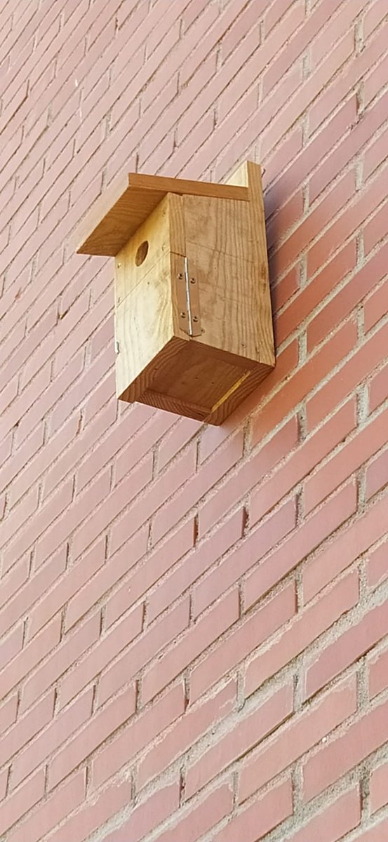 iesamoreno's tweet photo. ¡Hemos quedado en un merecidísimo segundo puesto en el concurso #generacioneco de @ecovidrio de entre 243 centros educativos!
Ya tenemos el premio, un kit de biodiversidad XXL: hotel de insectos, nido de salamanquesas, de murciélagos, y nido de aves con webcam https://t.co/uxiLG3uMFS