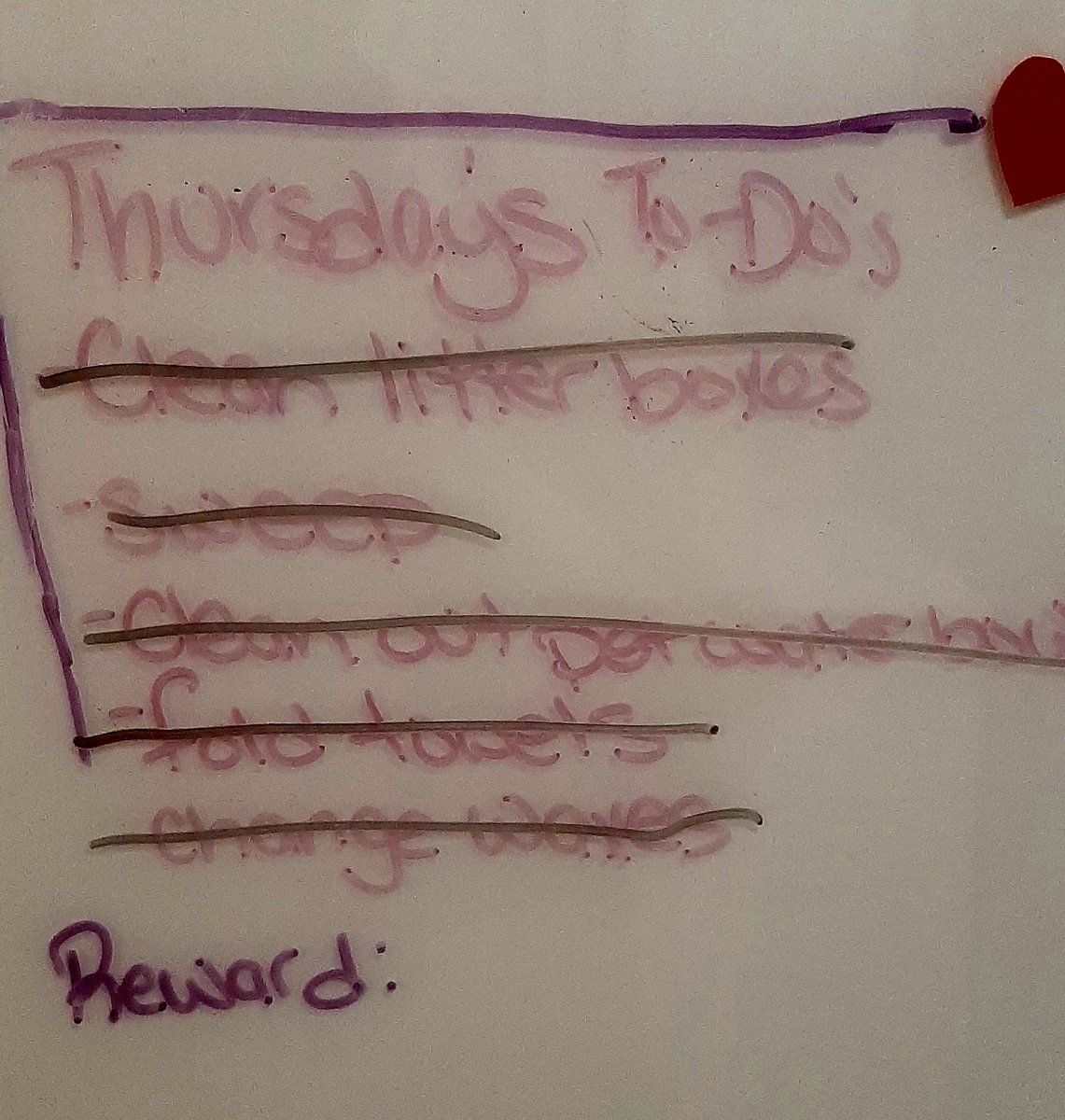 Accomplishing so much today. In addition to chores, I've done a bunch of law-related research &amp; in feeling so good. And...it's not even 1pm!