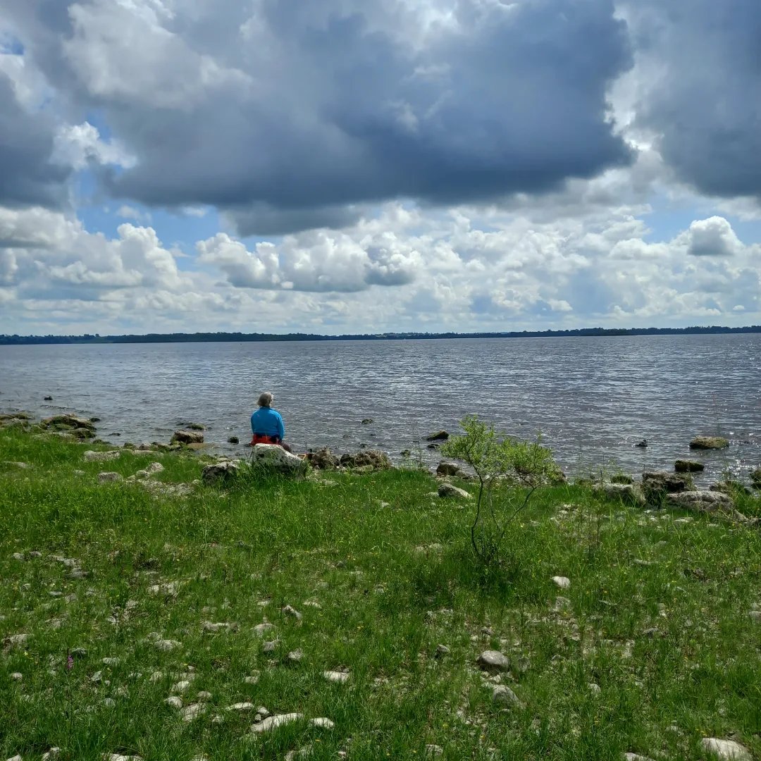 KwasKamila's tweet photo. Delighted to have had the opportunity to celebrate Summer in the unique woodlands of Yew Point @Hodsonbayhotel leading forest bathing session for the @Failte_Ireland team!

We experienced sunny shores of Lough Ree &amp; rainfall under the canopy of native trees 🌳🌲🌳

@Nature_To_Go https://t.co/u10jE1pmdv