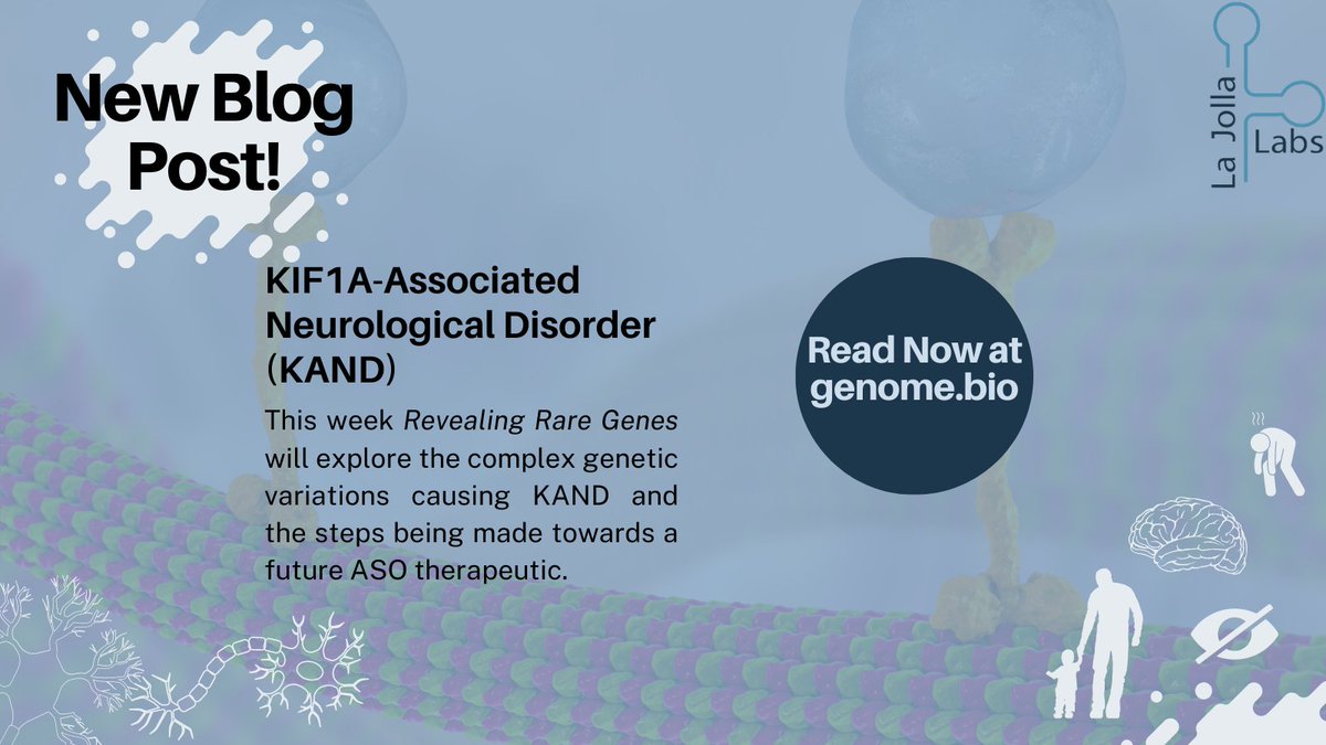 Interested in learning more about KIF1A-Associated Neurological Disorder (KAND)?

Read Revealing Rare Gene's new blog post here: genome.bio/post/personali…

#ultrarare #nanorare #raredisease #KIF1A #KAND #RareisOne #biotechblog #lajollalabs #RevealingRareGenes