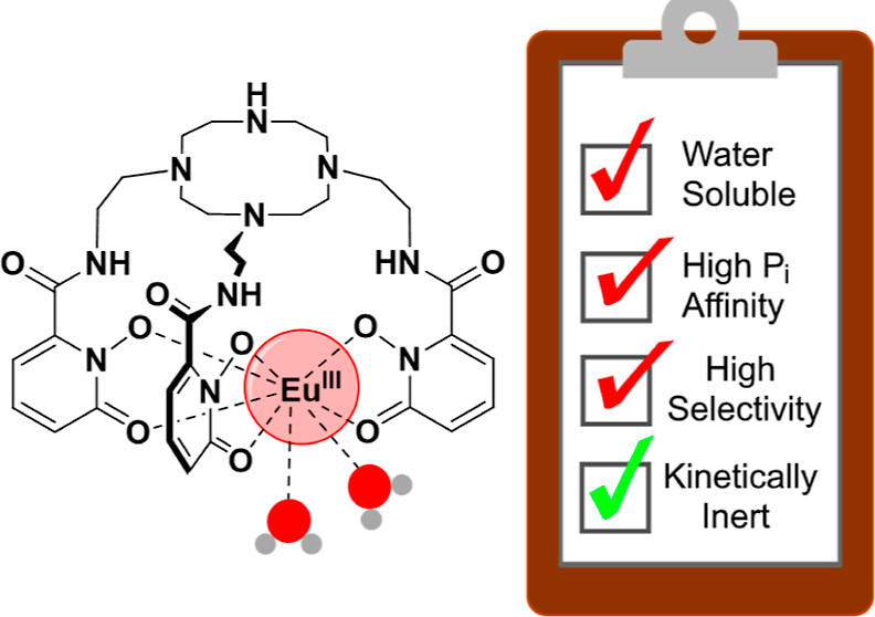 bhkenlo's tweet photo. Kinetically Inert Macrocyclic Europium(III) Receptors for Phosphate | Inorganic Chemistry https://t.co/kLnqDJYPSW @Pierre_Group and co-workers @InorgChem #europium #receptors #phosphate #cyclen #TACN #sequestration https://t.co/O5QzZLxjmR