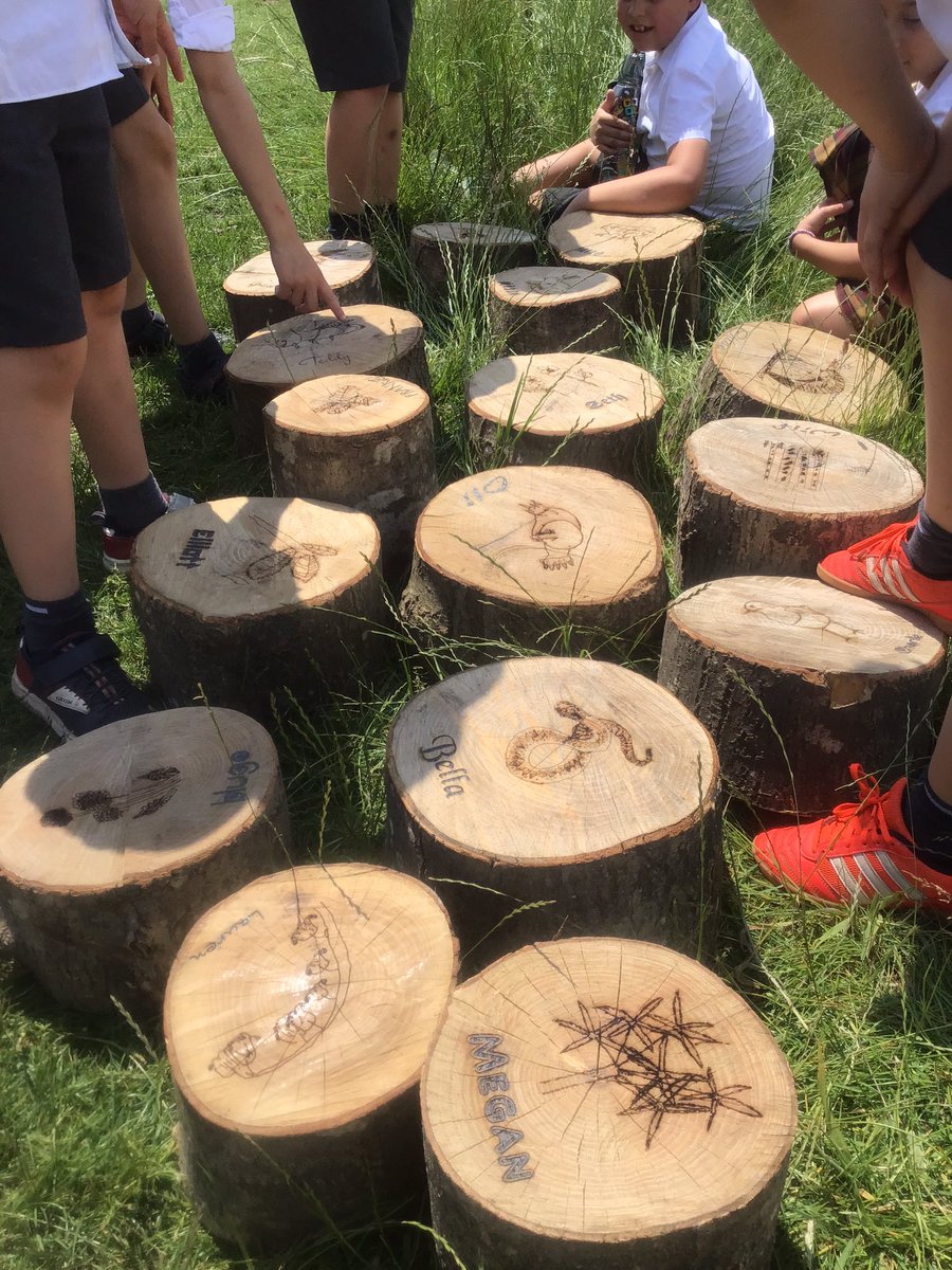 Wow! Look what arrived with Netty today for our new ‘nature chill’ zone. Prep 4 sanded, smoothed and designed the stumps themselves. Too good to sit on! #TPDC #johnmuiraward #denstonacity #itstartshere