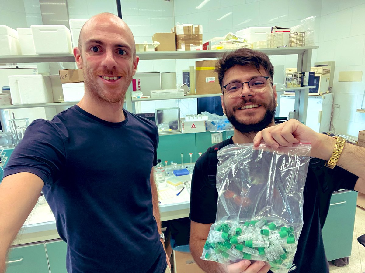 Michele Schlich tweet media