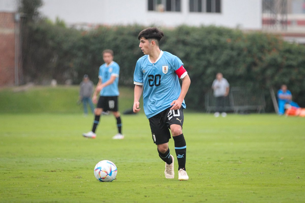 Gonzapan tweet media