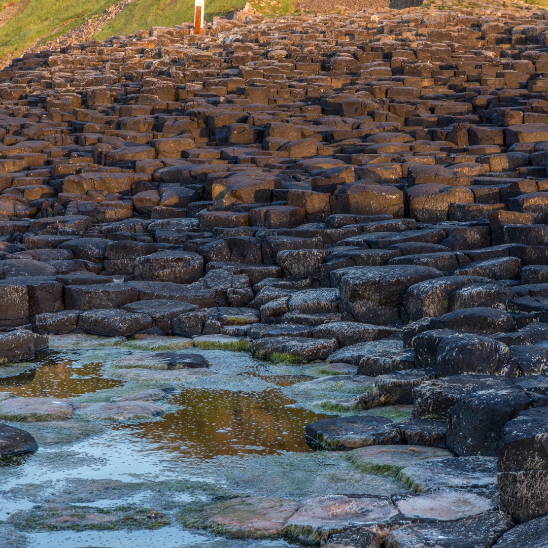 Step into the mesmerising world of geological wonders and let the Giant's Causeway leave you awestruck. 

📍The Giant's Causeway 

Start your adventure 👉️ bit.ly/3paPeN8

Courtesy of Maarten 

#thegiantscauseway #ireland #northernireland #wildroverdaytours