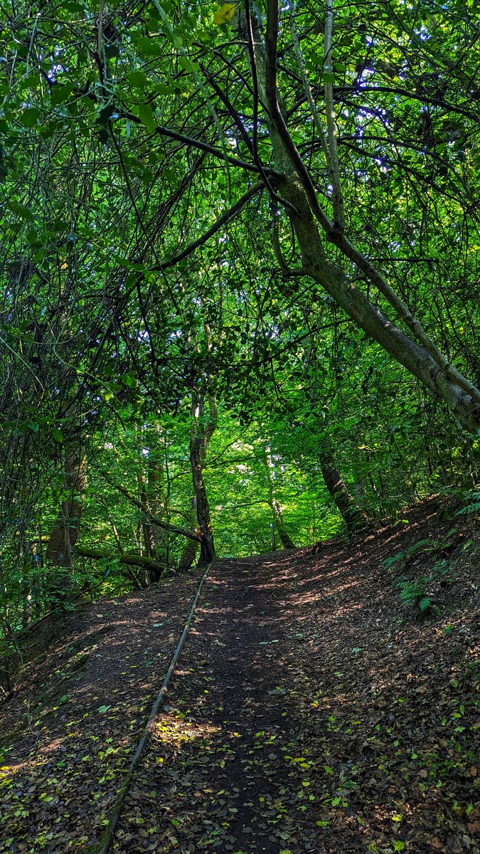 JonIn6OSeconds's tweet photo. JURASSIC PARK RUN......
Hills and Heat = 💀💀💀💀
Double run day complete ✅
#ukrunchat #doublerunday #trailrunning https://t.co/Nbx061sPMR
