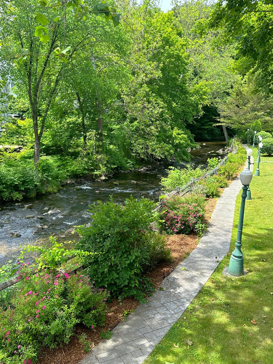 lgibsonauthor's tweet photo. My writing spot 😍 #sandyhookct https://t.co/NcM6r6uUpK