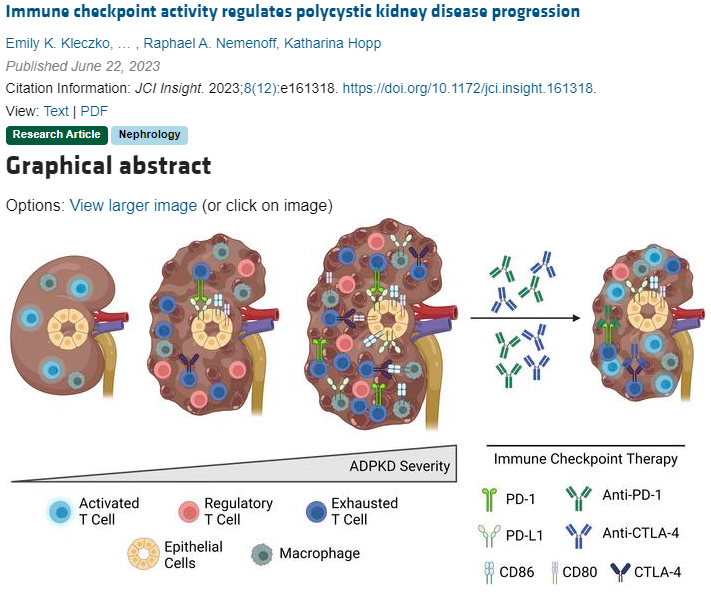 Katharina Hopp tweet media