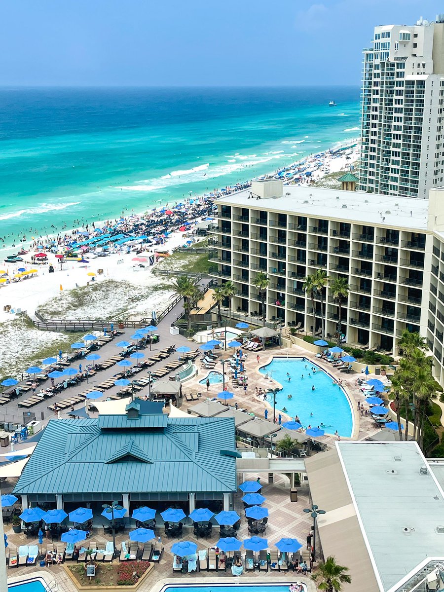 Palm trees, a nice breeze and 83 degrees ☀️🌴🍹 bit.ly/HSBpackages  #HiltonSandestin #SouthWalton #loveFL @VisitFlorida @ShareaLittleSun @SouthWalton @HiltonHotels