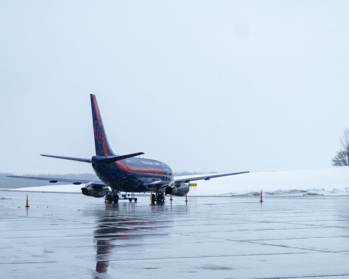 nolinoraviation's tweet photo. We're the wings that carry the Montreal Alouettes to victory 🦅 

#FlyWithTheAls #Victory #WinningFly

#ToujoursGame #mtlalouettes #winningLivery #goldstandard #nolinor #nolinoraviation #boeing #boeinglovers #boeing737 #b737 #b737200 #aviation https://t.co/B4LCAp0bAA