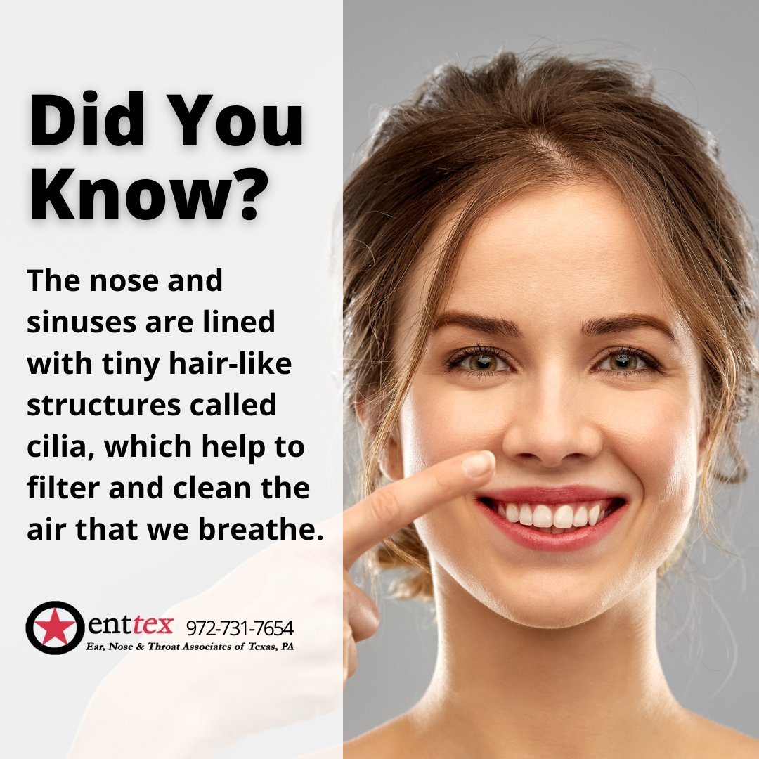 ENT_TEX's tweet photo. Fun fact! Your nose and sinuses are more than just a passageway for air. They also contain cilia - tiny hair-like structures that help filter and clean the air you breathe. At ENT TEX, we're committed to helping you maintain healthy sinuses and optimal breathing. https://t.co/EtxPP7hEEF
