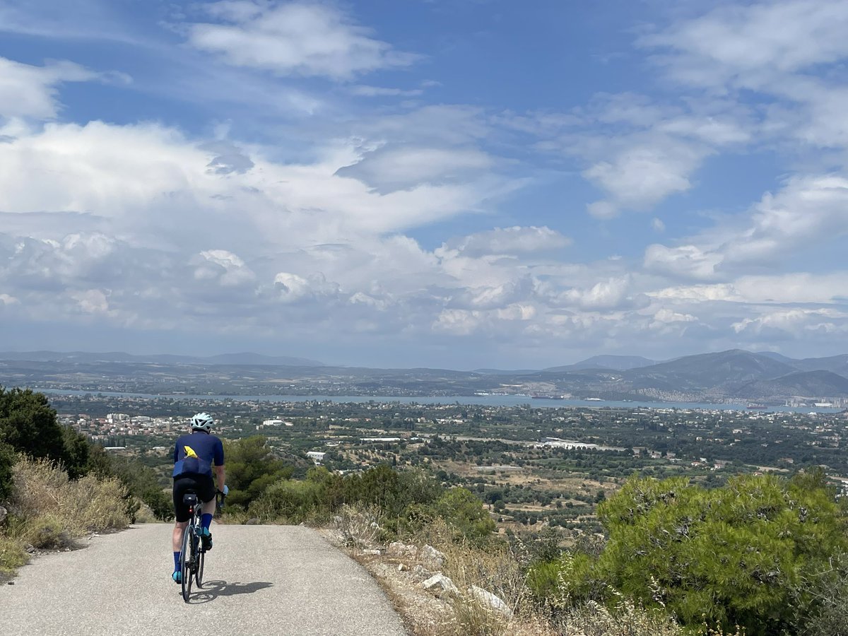 jane rees tweet media